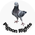 Referenzen - Pigeon Rights Logo